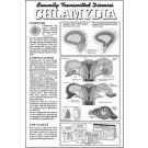 Chlamydia Study Sheet
