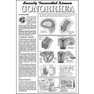Gonorrhea Study Sheet