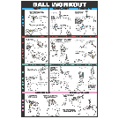 Swiss Ball Workout Poster I