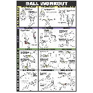 Swiss Ball Workout Poster II