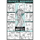 Co-Ed Triceps Workout Poster