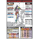 Cross Trainer Workout Poster