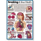Smoking & Your Health Poster