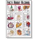 Alcohol Facts Poster