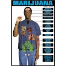 Effects of Marijuana Poster