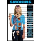 Effects of Smoking Poster