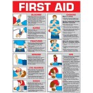 First Aid