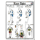 Knee Raise Poster