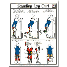 Standing Leg Curl Poster