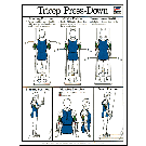 Tricep Press-Down Poster