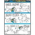 Chest / Arm / Shoulder Exercises Poster