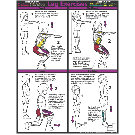 Leg Exercise Poster