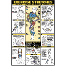 Exercise Stretches Poster