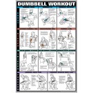 Dumbbell Chest & Arm Workout Poster