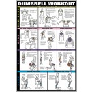Dumbbell Shoulder, Back, & Leg Workout Poster