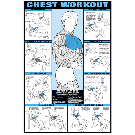 Chest Workout Poster