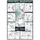 Triceps Workout Poster