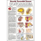 Gonorrhea Poster 