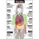Cocaine Poster