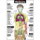 Harmful Effects of Marijuana Poster