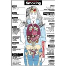 Harmful Effects of Smoking Poster