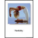 Flexibility Poster