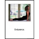 Endurance Poster