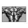 Back Muscle Poster