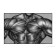 Chest Muscle Poster