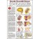 Gonorrhea Poster 