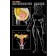 Female Reproductive System Poster