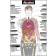 Harmful Effects of Alcohol Poster