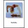 Flexibility Poster