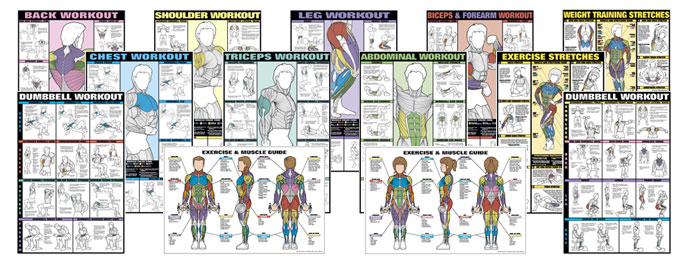 Workout Posters