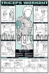 Triceps Workout Poster | by Bruce Algra
