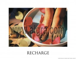 Recharge Poster