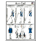 Arm Curl Poster