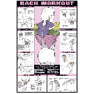 Male Back Workout Poster