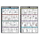 Dumbbell Set Workout Poster