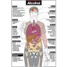 Harmful Effects of Alcohol Poster