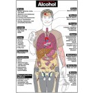 Harmful Effects of Alcohol Poster