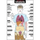 Harmful Effects of Inhalants Poster